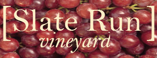 Slate Run Vineyard